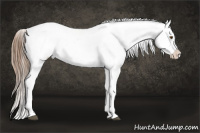Horse Color:Brown Pearl Splash Tobiano Appaloosa  and Liver Chestnut Pearl Tobiano Appaloosa Rabicano 