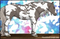 Horse Color:Silver Black Tobiano 