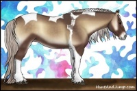 Horse Color:Silver Blue Onyx Tobiano 