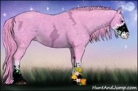 Horse Color:Watercolor Buckskin Ice Sabino