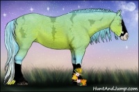Horse Color:Watercolor Bay Ice Sabino Splash 