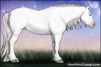 Horse Color:Gray Nacre Silver Amber Cream Champagne Ice Roan Dun Sabino Appaloosa Rabicano 