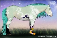 Horse Color:Watercolor Buckskin Ice Dun Sabino