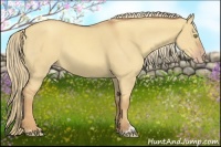 Horse Color:Gold Champagne Dun Sabino 