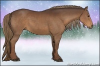 Horse Color:Liver Chestnut 