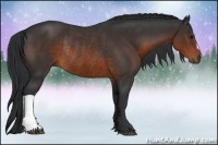 Horse Color:Brown Rabicano 