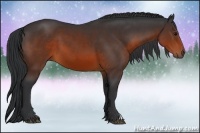 Horse Color:Brown 