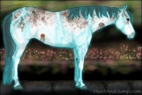 Horse Color:Thunderstruck White Spotted Bay Ice