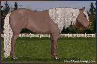 Horse Color:Chocolate Silver Black