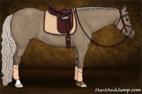 Horse Color:Silver Grullo 