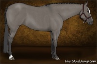 Horse Color:Smoky Grullo Roan Sabino 