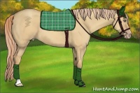 Horse Color:Gold Champagne Dun