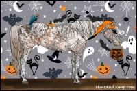 Horse Color:Buckskin Appaloosa  and Buckskin Tobiano Appaloosa 