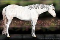 Horse Color:Sable Champagne Appaloosa  and Sable Champagne Appaloosa 