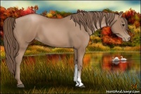 Horse Color:Black Pearl 