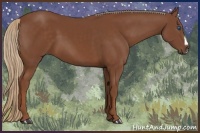 Horse Color:Chestnut Frame 