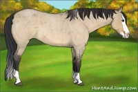 Horse Color:Bay Roan Dun Splash Rabicano