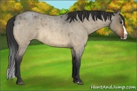 Horse Color:Bay Roan Dun Splash