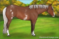 Horse Color:White Spotted Silver Bay Roan Splash 