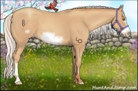 Horse Color:Silver Amber Champagne Roan Frame 