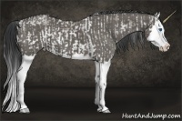 Horse Color:Grullo Sabino Splash  and Grullo Splash 