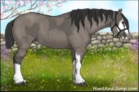 Horse Color:Grullo Sabino Splash and Grullo Sabino Splash Rabicano