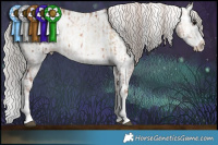 Horse Color:White Spotted Silver Grullo Pearl Onyx Sabino Splash Brindle  and White Spotted Chocolate Silver Grullo Pearl Onyx Sabino Splash Brindle 