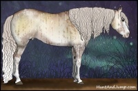 Horse Color:White Spotted Silver Grullo Pearl Onyx Sabino Splash  and White Spotted Chocolate Silver Grullo Pearl Onyx Sabino Splash 