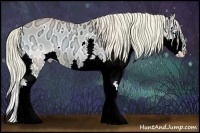 Horse Color:Watercolor White Spotted Cremello Ice Onyx Sabino Splash 