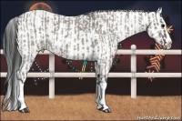 Horse Color:Grullo Roan Sabino Splash and Bay Roan Dun Sabino Splash