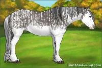 Horse Color:Grullo Sabino Splash and Smoky Grullo Sabino Splash