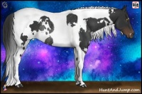 Horse Color:White Spotted Liver Chestnut Tobiano Rabicano 