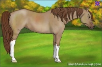 Horse Color:Red Dun Brindle 