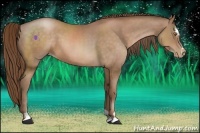 Horse Color:Brown Pearl Sabino 