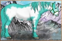 Horse Color:Watercolor Black Frame Rabicano 