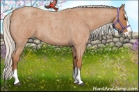 Horse Color:Silver Bay Roan Splash 