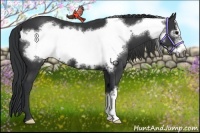 Horse Color:Black Frame
