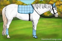 Horse Color:Classic Cream Champagne Roan Splash Appaloosa 