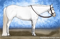 Horse Color:Liver Red Dun Appaloosa Brindle