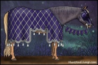 Horse Color:Red Roan 
