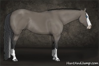 Horse Color:Slate Grullo Sabino Splash Rabicano 