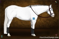 Horse Color:White Spotted Silver Smoky Black Splash Appaloosa
