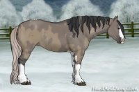 Horse Color:Silver Grullo Splash Tobiano and Grullo Sabino Splash