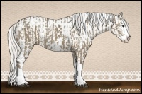 Horse Color:Silver Smoky Grullo Sabino Splash  and Silver Sable Champagne Dun Sabino Splash Varnish 