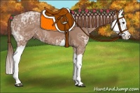 Horse Color:Chestnut Ice Splash