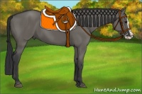 Horse Color:Grullo Splash