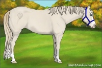 Horse Color:Smoky Creme Roan Splash