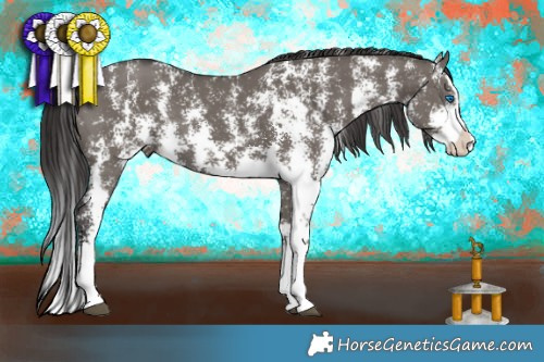 Horse Color:Smoky Grullo Sabino Splash Rabicano 