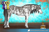 Horse Color:Smoky Grullo Sabino Splash Rabicano