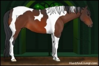 Horse Color:Bay Tobiano 